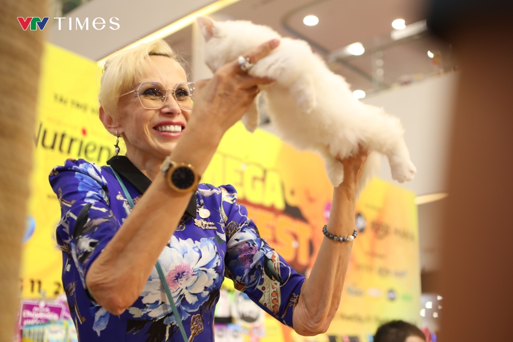 This year, the competition introduces a category for dwarf cats for the first time. According to the organizers, the new category aims to provide education and raise awareness, encouraging responsible breeding practices to protect the well-being of the species.