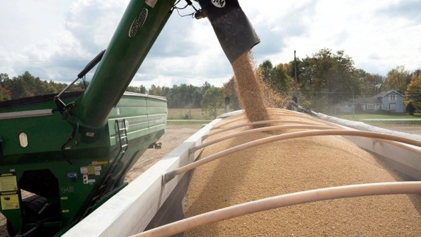 Đậu nành được chất lên xe tải trong vụ thu hoạch ở Ohio - Ảnh: Reuters