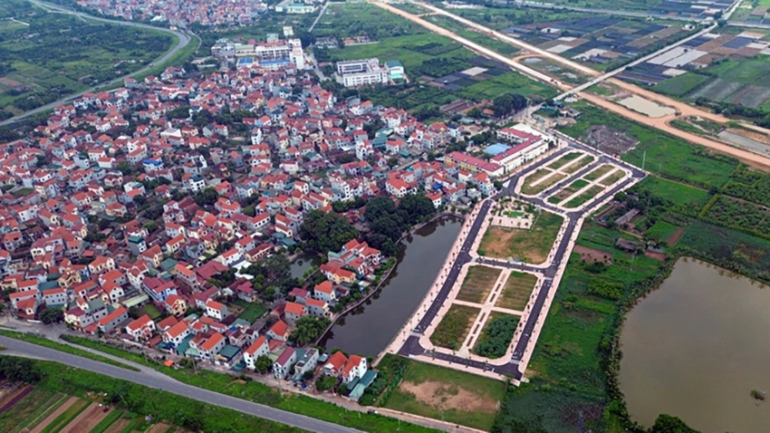 Đề xuất người bỏ cọc sẽ bị cấm tham gia đấu giá tới 10 năm - Ảnh minh họa: Minh Đức