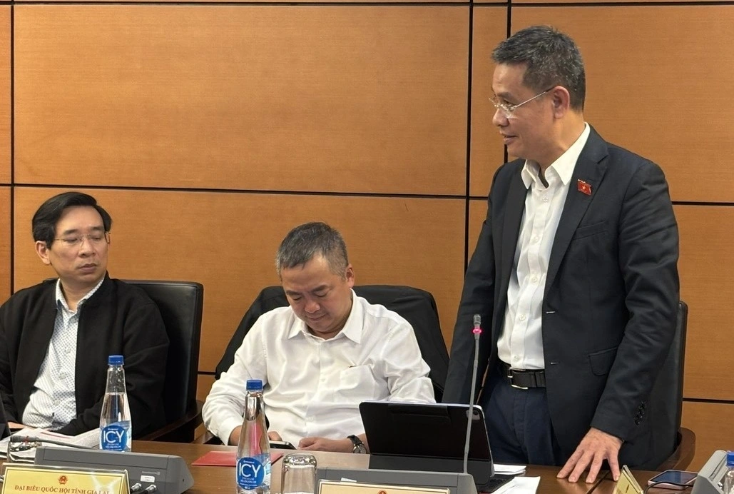 Đại biểu Đinh Ngọc Quý cho rằng cần xác định rõ mô hình lập pháp của Việt Nam trong giai đoạn mới.