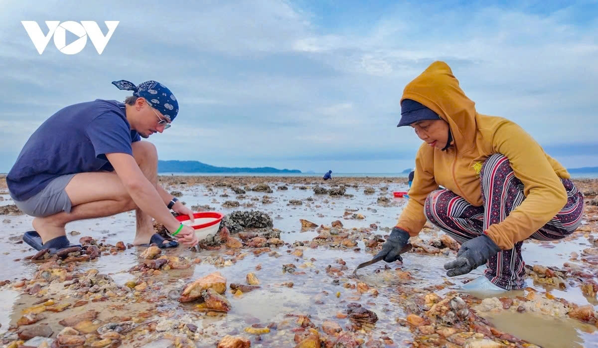 A resident guides French tourist on how to rake for clams.