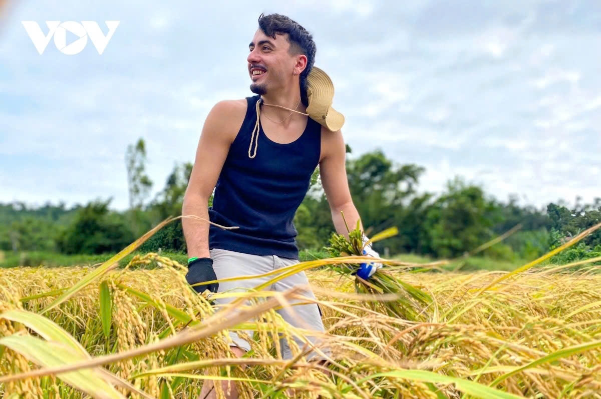 Loic’s friend Habert experiences rice harvesting for the first time.