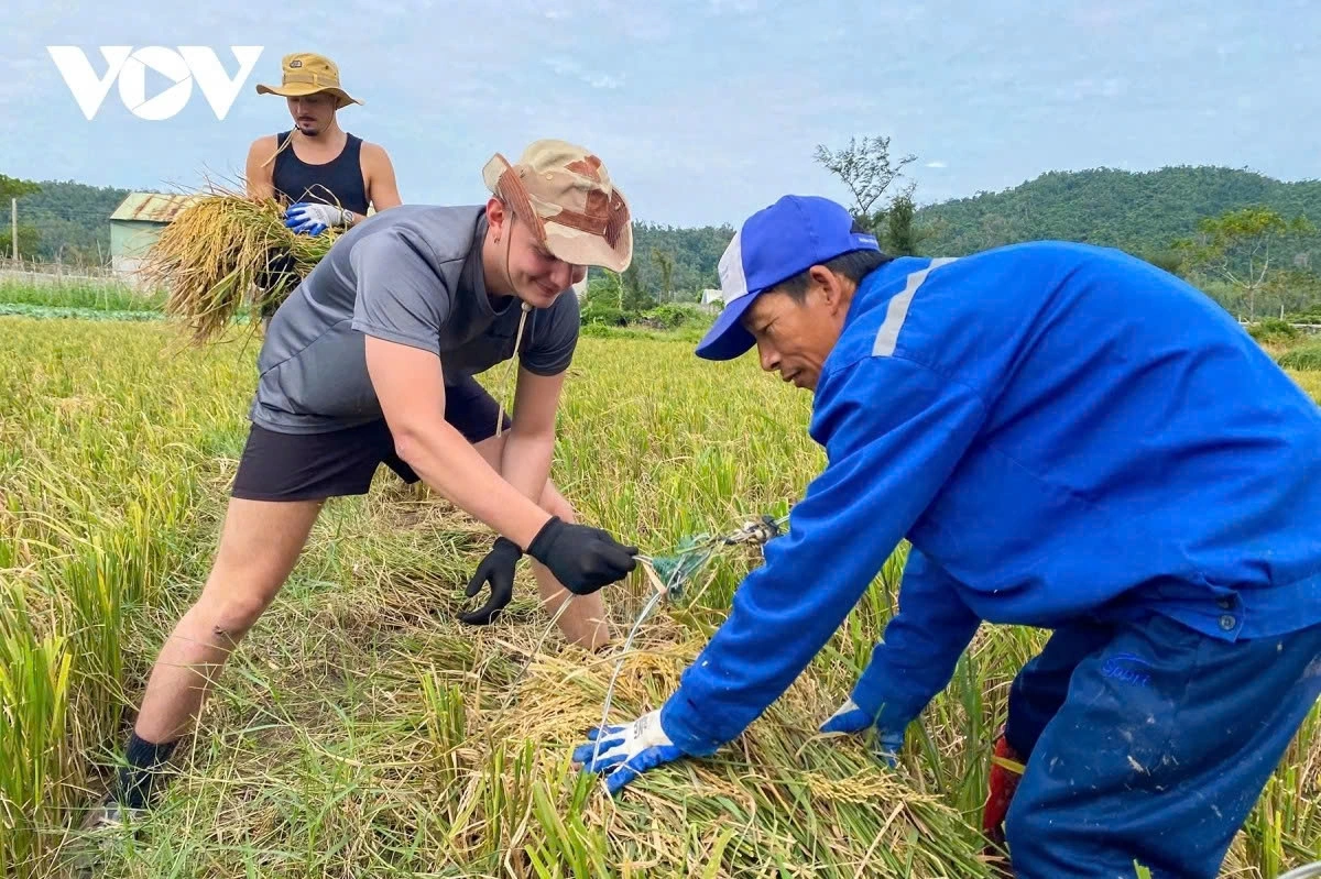 The seasonal tourism programme, offered by many local households and homestays, combines sightseeing with hands-on activities and local cuisine. After harvesting rice, catching snails, or going fishing, tourists enjoy a meal, gaining a deeper understanding of the daily life and culture of local islanders.