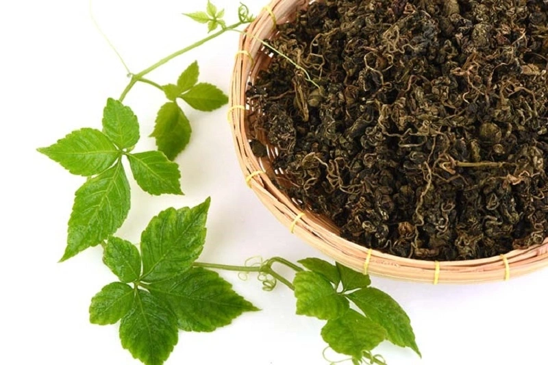 Giảo cổ lam chứa nhóm saponin có tác dụng giãn mạch nhẹ, giúp máu lưu thông tốt hơn