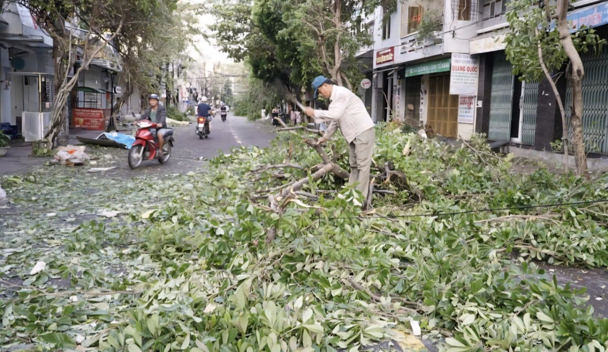 Người dân ở Quy Nhơn tự giác chặt cây để người dân lưu thông