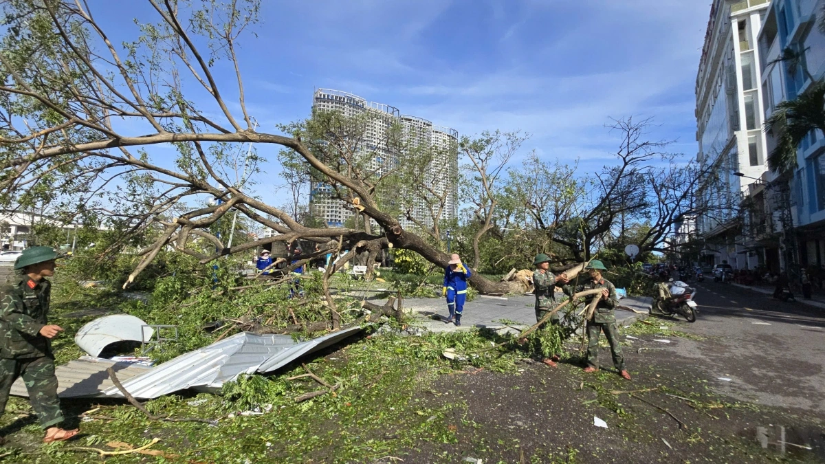 Các lực lượng khắc phục cây đổ gãy