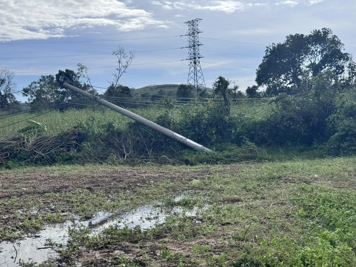 Một cột điện ở xã Xuân Thọ bị đồ rạp, gây mất điện.