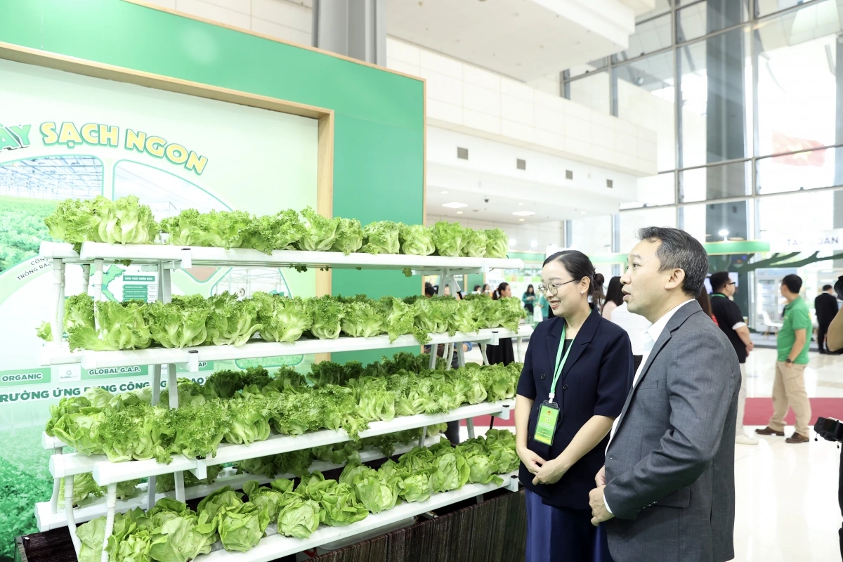 Khách hàng tham quan mô hình xà lách thủy canh của WinEco tại triển lãm 80 năm ngành Nông nghiệp và Môi trường