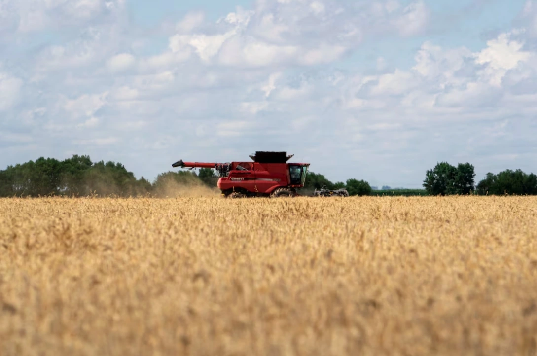 Một máy gặt đập liên hợp được sử dụng để thu hoạch lúa mì ở Kremlin, Oklahoma, Mỹ ngày 12/6. Ảnh: Reuters