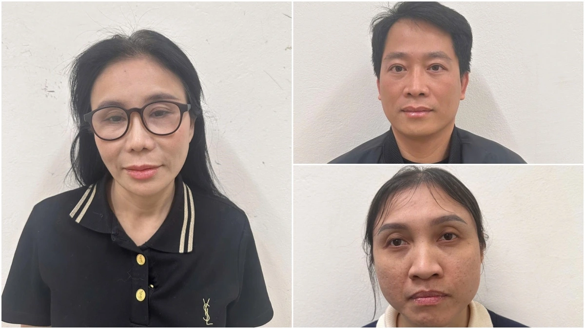 Phan Thị Mai (Mailisa) và các bị can