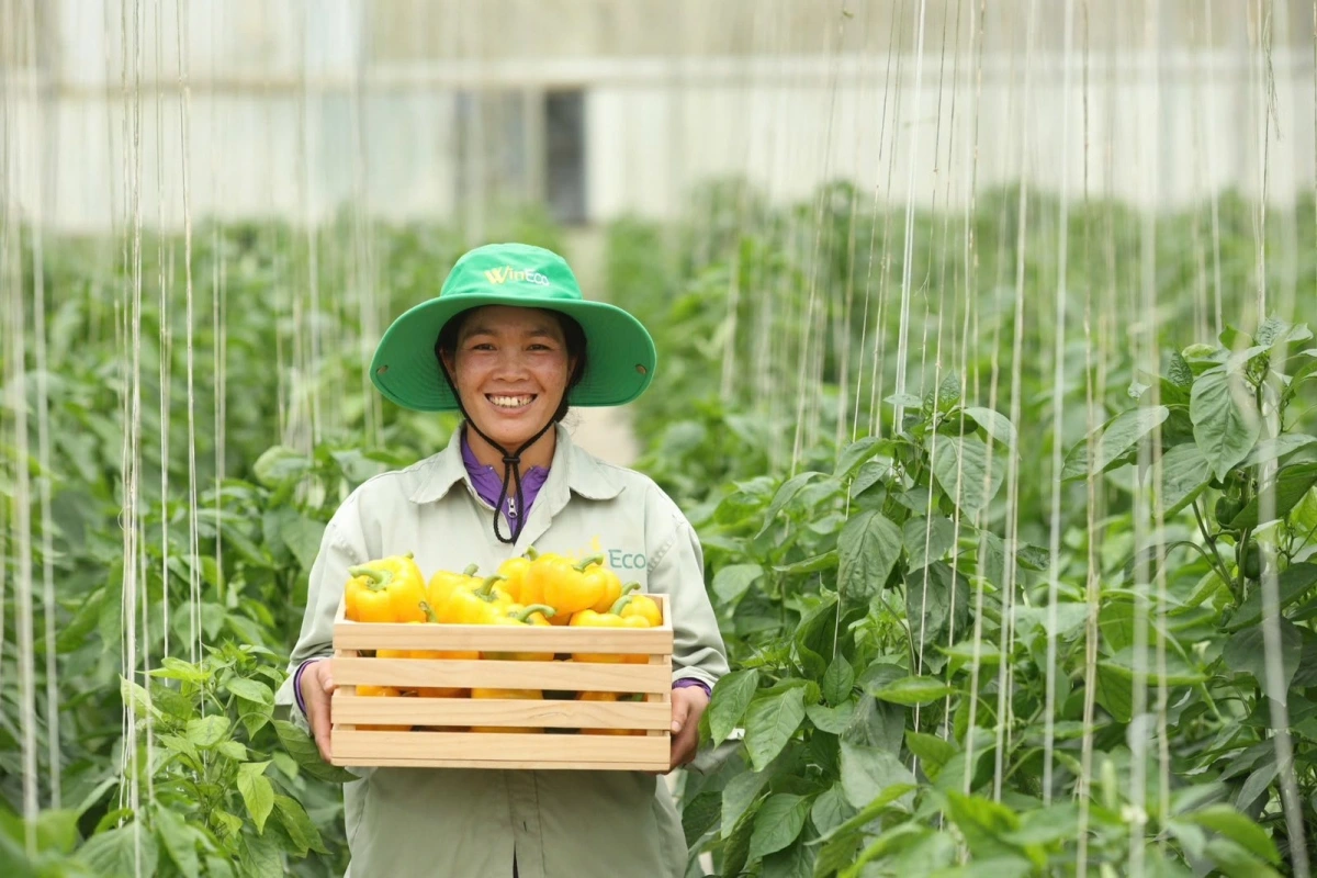 Nông trường công nghệ cao WinEco