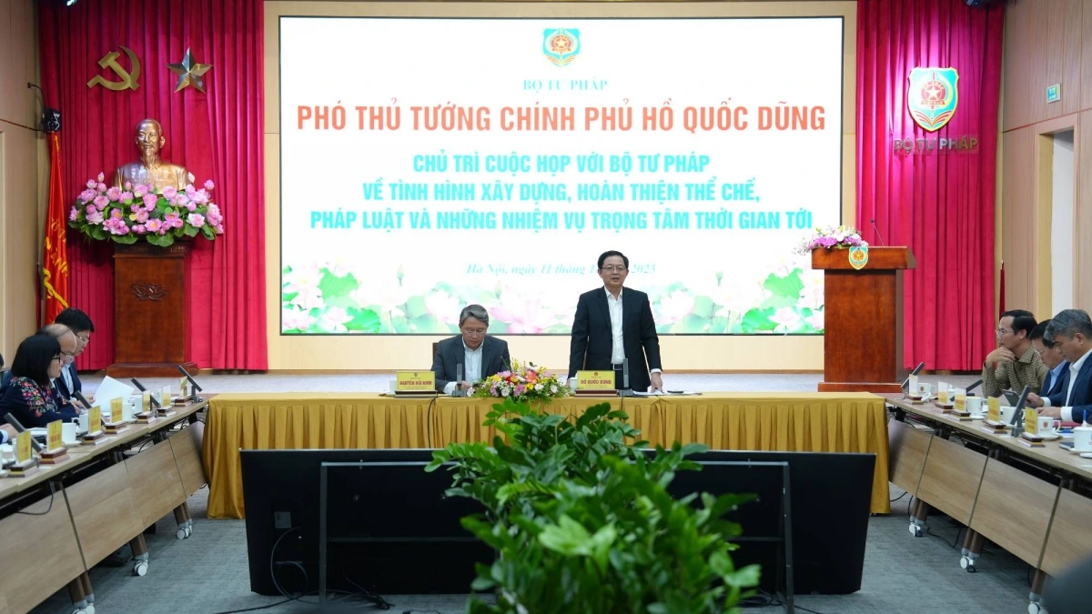 Phó Thủ tướng Chính phủ Hồ Quốc Dũng phát biểu tại buổi làm việc.