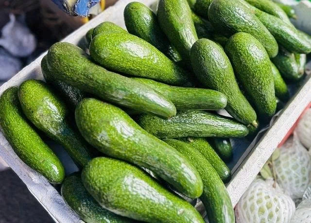 Nhờ khả năng tăng cảm giác no, cung cấp chất béo lành mạnh và cải thiện quá trình chuyển hóa, bơ là lựa chọn phù hợp cho những ai muốn kiểm soát cân nặng