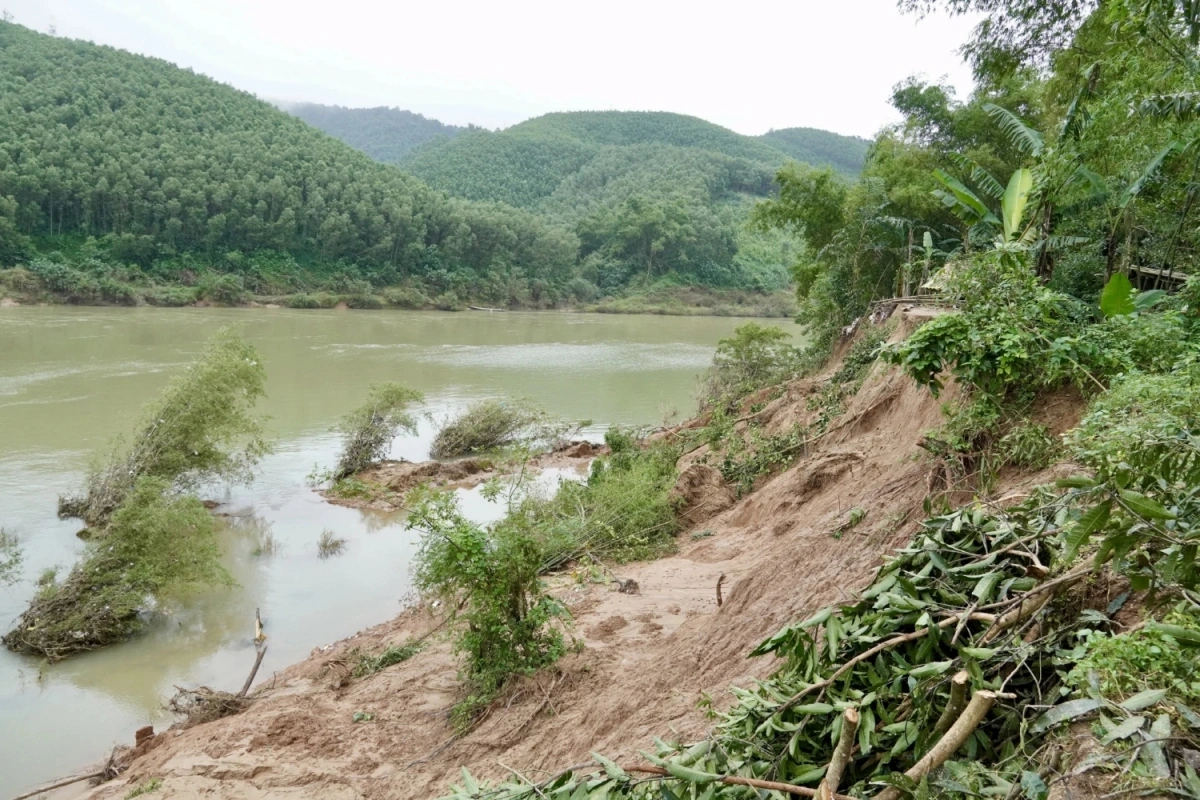 Sạt lở bờ sông Gianh qua xã Tuyên Hóa, tỉnh Quảng Trị diễn biến nghiêm trọng
