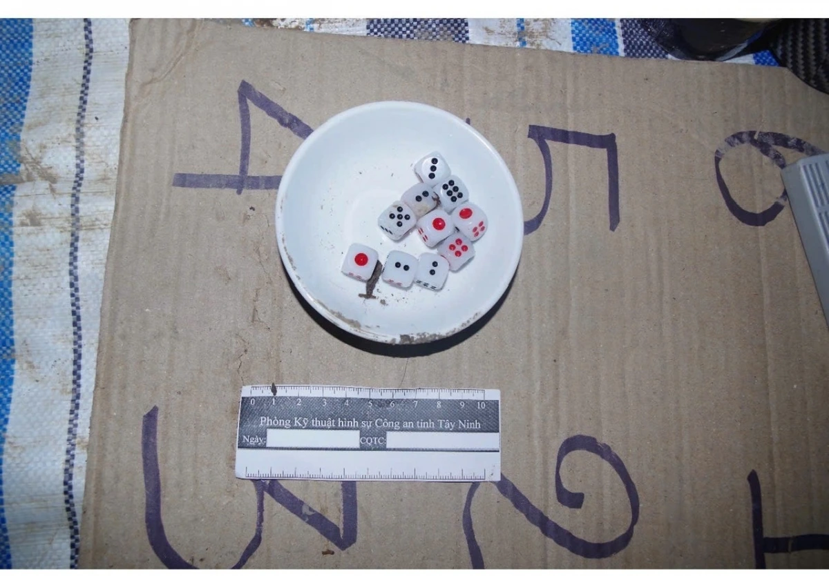 Tang vật vụ vụ việc. (Ảnh: Q.A)