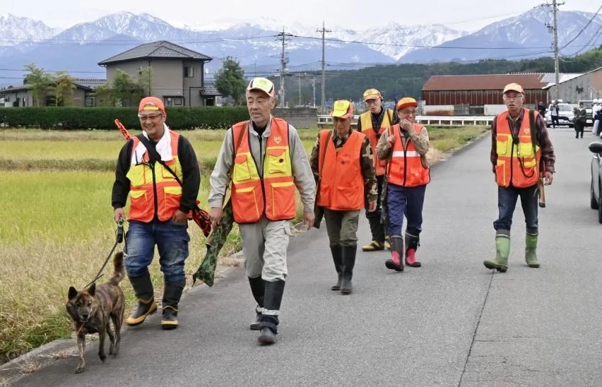 Một nhóm thợ săn tuần tra ở khu vực gần nơi xảy ra vụ gấu tấn công người ở Toyama ngày 16/11/2023. Ảnh: Kyodo News/Getty Images