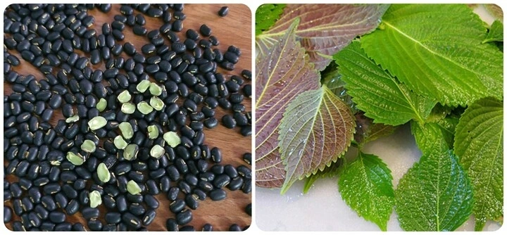 Nước tía tô và đậu đen là thức uống tốt cho sức khoẻ