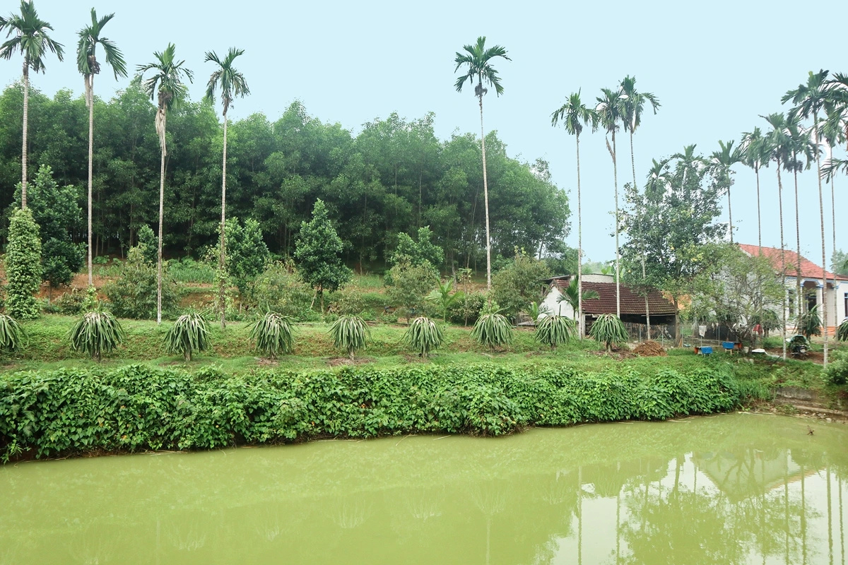 Ảnh minh họa: KT