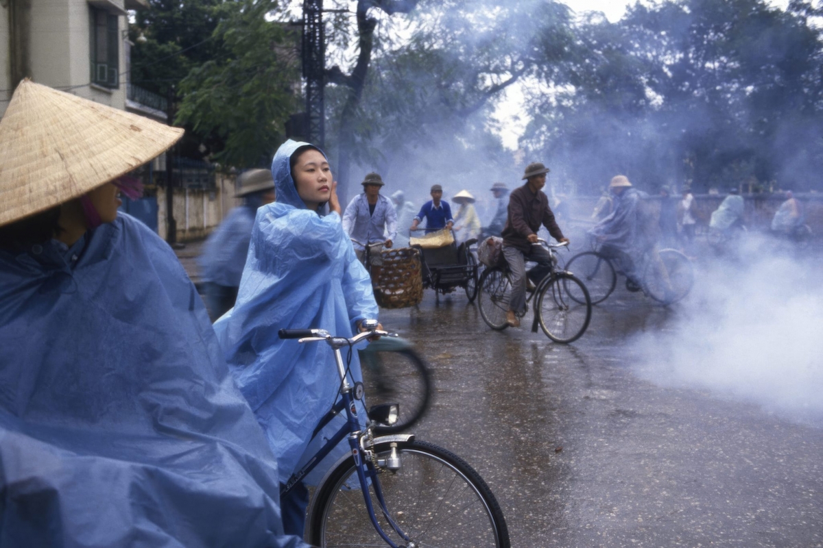 Một tác phẩm của Lily Franey.