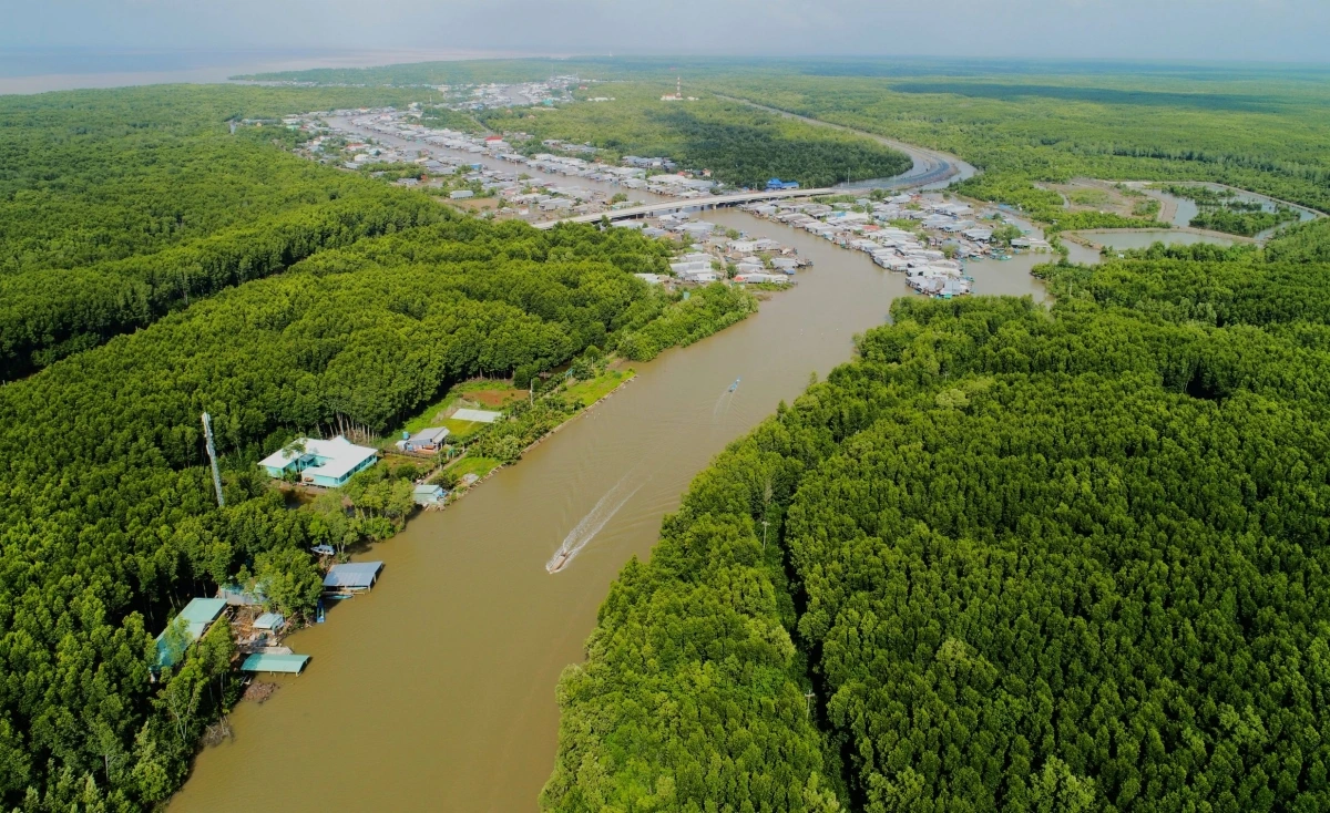 Toàn tỉnh Cà Mau có hơn 140.000ha đất lâm nghiệp