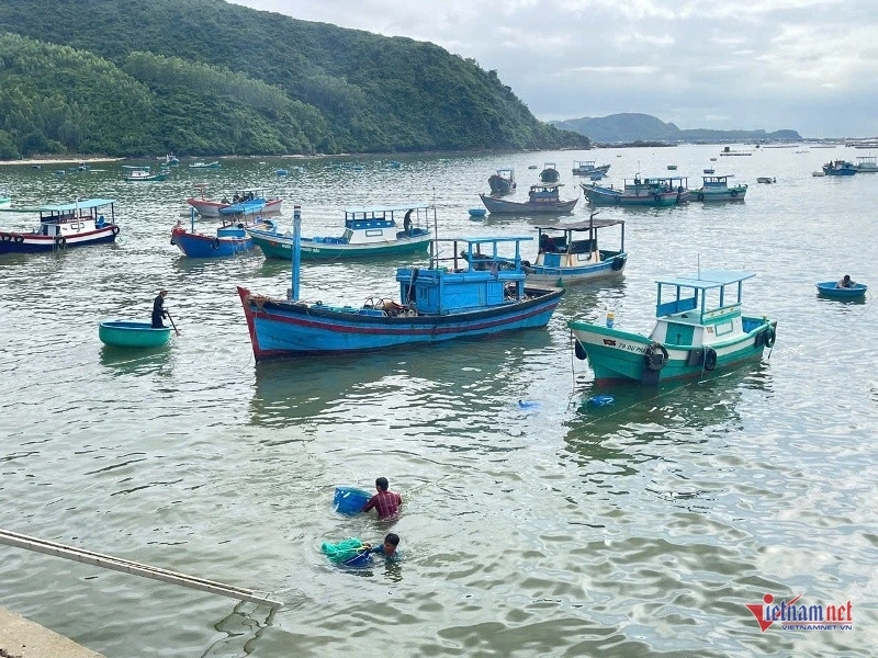 Hàng chục tàu thuyền liên tục ra vào cảng, mang theo hàng trăm lồng tôm lên bờ tiêu thụ sớm. Ảnh: Trần Hoàn