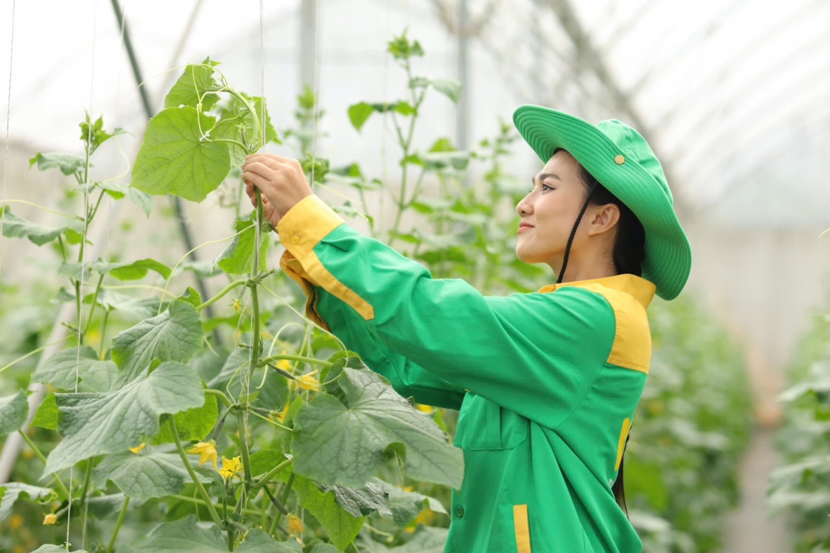 WinEco sở hữu hệ thống 14 nông trường công nghệ cao