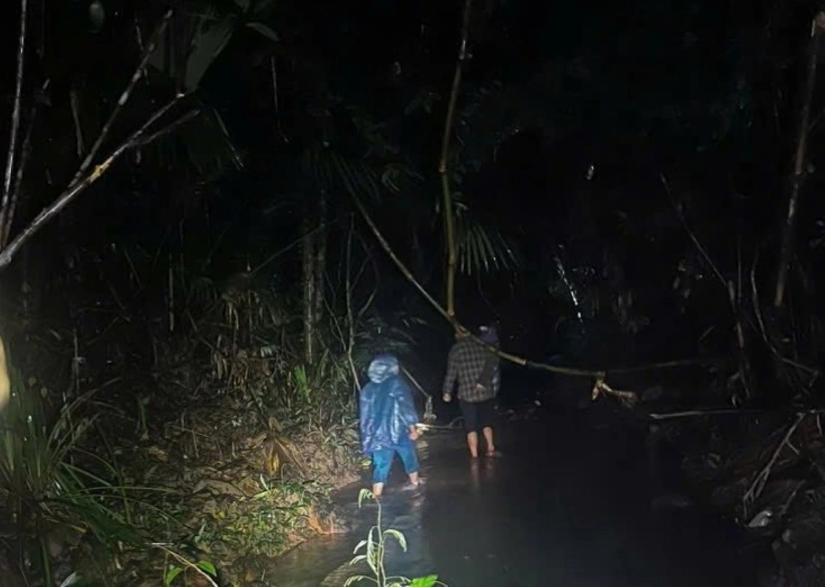 Xuyên đêm tìm kiếm người dân bị mất liên lạc khi đi rừng lấy măng