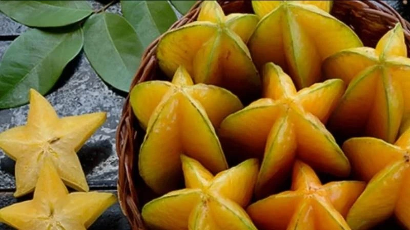 Y học cổ truyền và một số nghiên cứu hiện đại ghi nhận, khế có giá trị nhất định đối với sức khỏe 