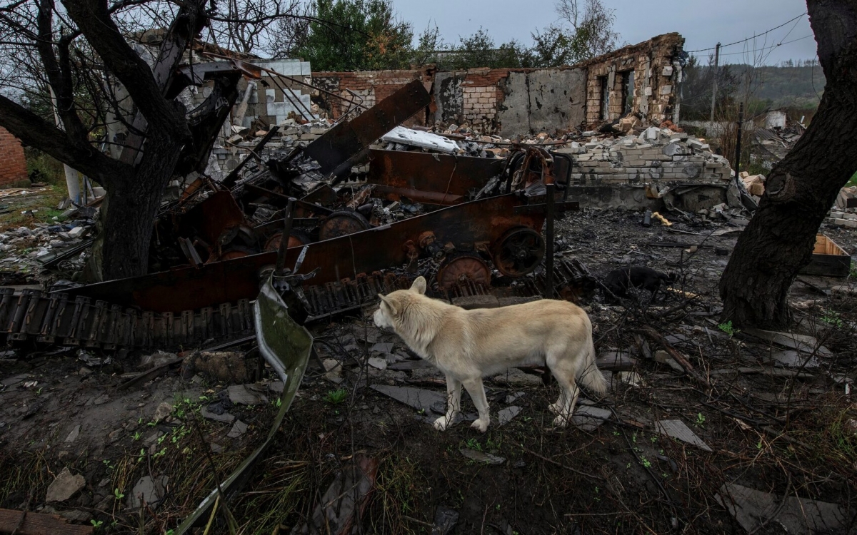 chu cho Ukraine ben xac xe thiet giap va dong do nat Ukraine o tinh Kharkov, chien truong Ukraine -reu.jpg