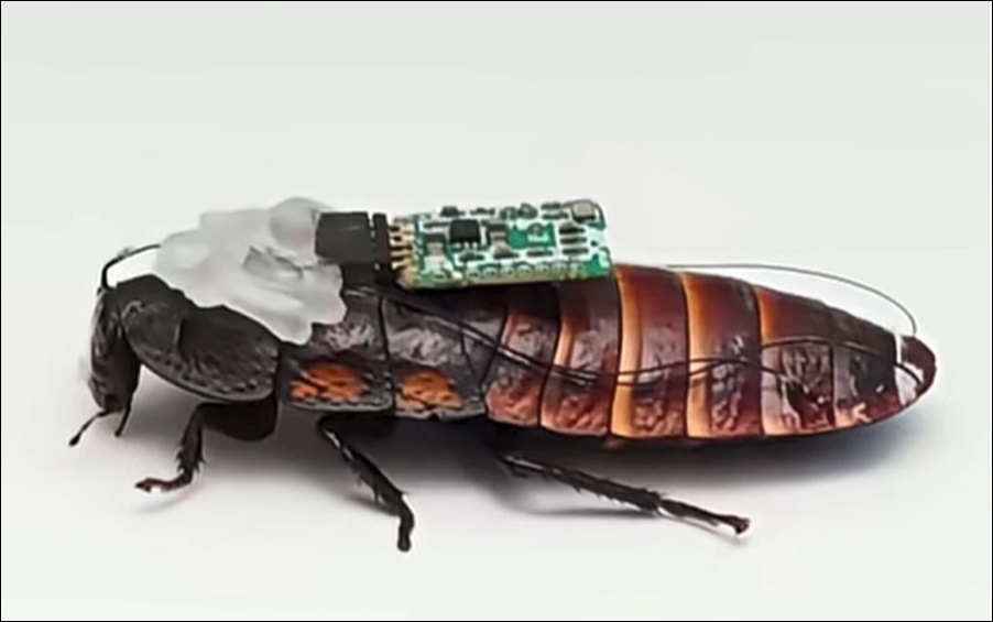 robot gian may Trung Quoc, gian cay may tinh, gian lap trinh, dieu khien dong vat -Quang Minh Nhat bao.jpg