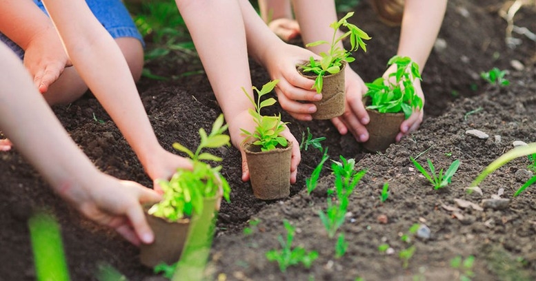 Ảnh minh họa: KT