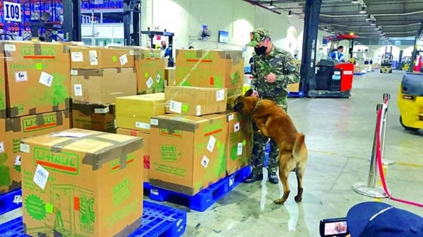 Công chức Hải quan sân bay quốc tế Nội Bài sử dụng chó nghiệp vụ kiểm soát chống buôn lậu.