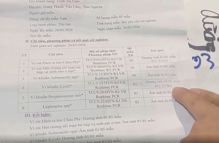 Phiếu xét nghiệm có 2 mẫu dương tính với vi khuẩn E.coli và virus dịch tả lợn châu Phi