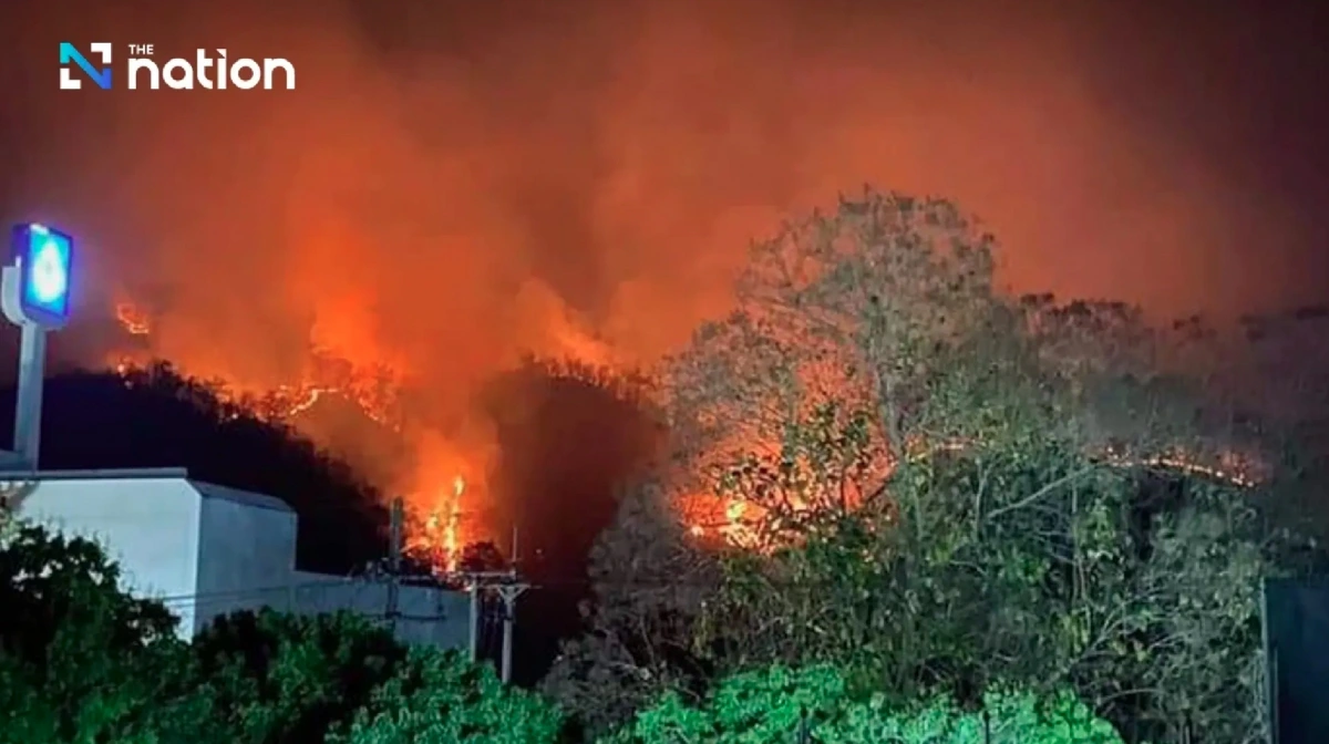 Cháy rừng tại tỉnh Chiang Mai. Ảnh: The Nation