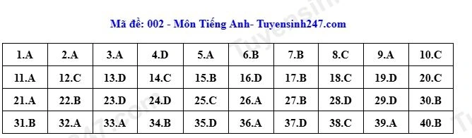 002_dap_an_anh.jpg