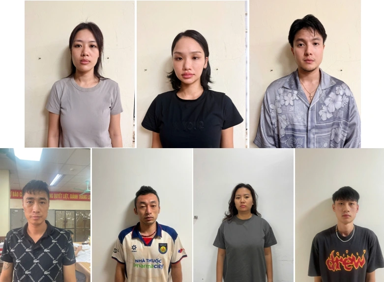 7dtcathai-ce404a9c87134b6d9c2afa1392f64559.png