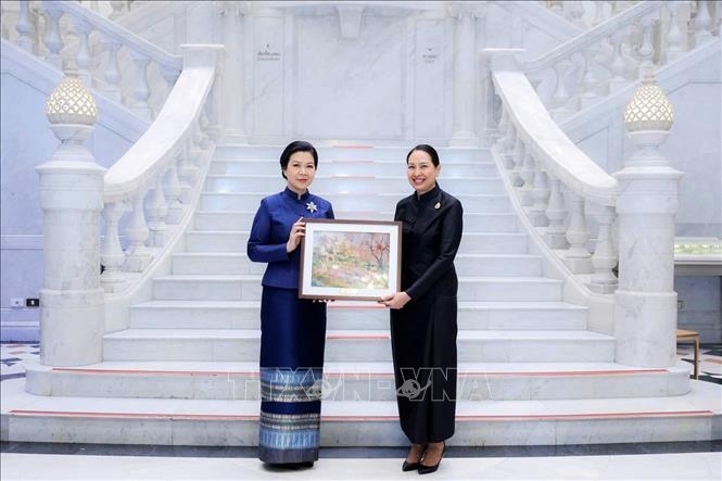 8_ngo_phuong_ly_ao_dai.jpg