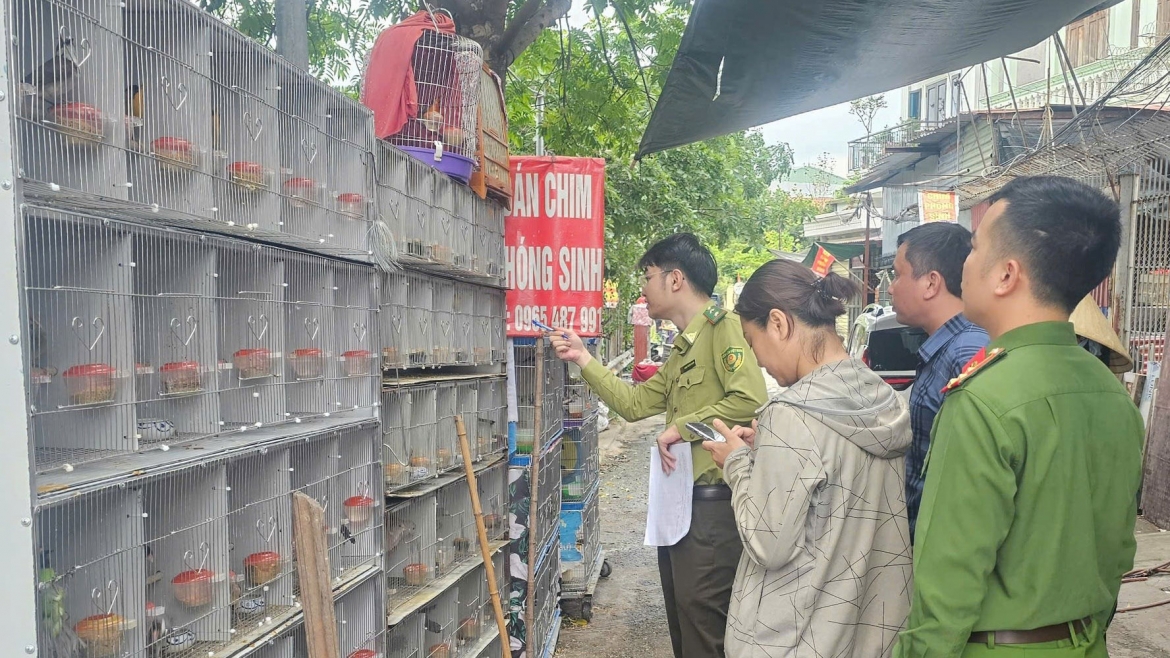 cong-an-hai-phong-phat-hien-mua-ban-dong-vat-hoang-da.jpg