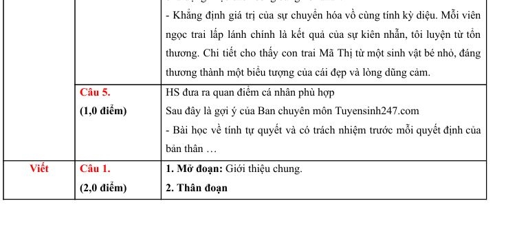 dap_an_van_dn_2.jpg