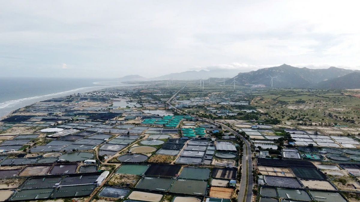 Khu vực triển khai dự án điện hạt nhân tại phía Nam tỉnh Khánh Hòa.