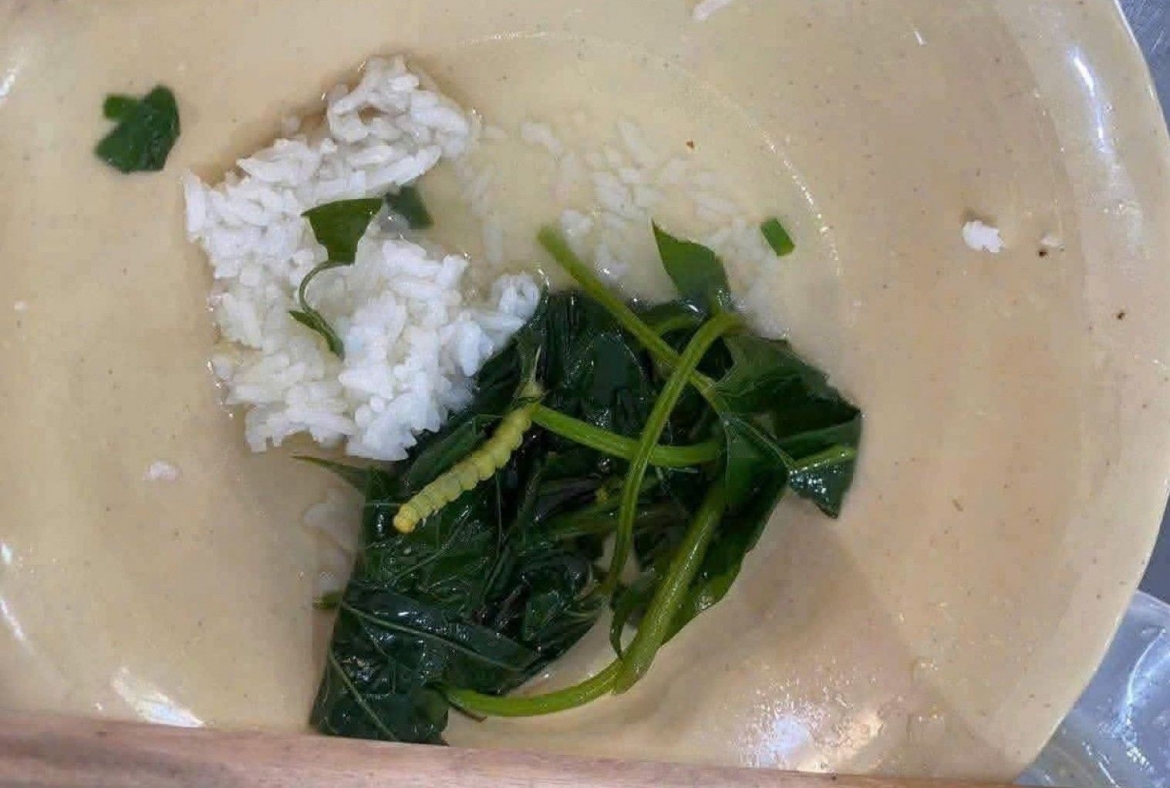 inh_anh_canh_rau_co_sau_duoc_dang_tai_tren_mang_xa_hoi.jpg