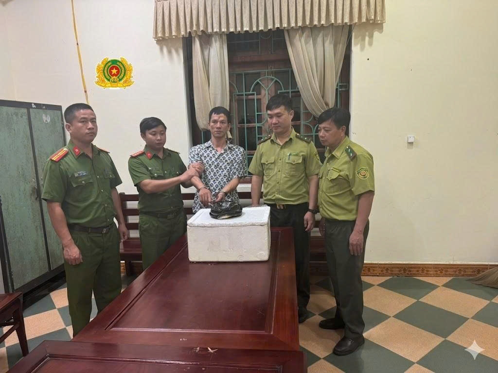 khởi tố vì mua động vật hoang dã.jpg