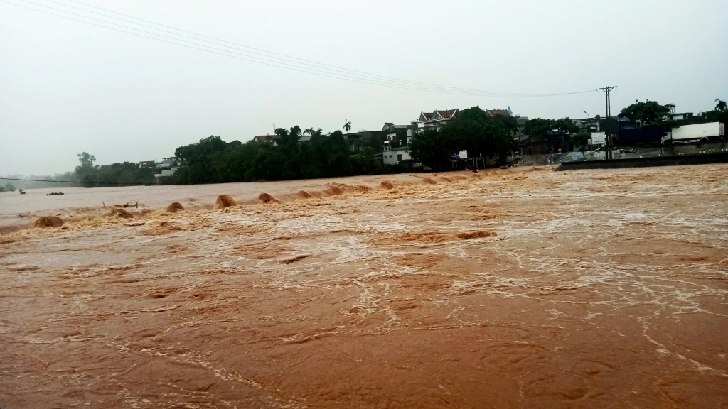 ngap-ung-12065517.jpg