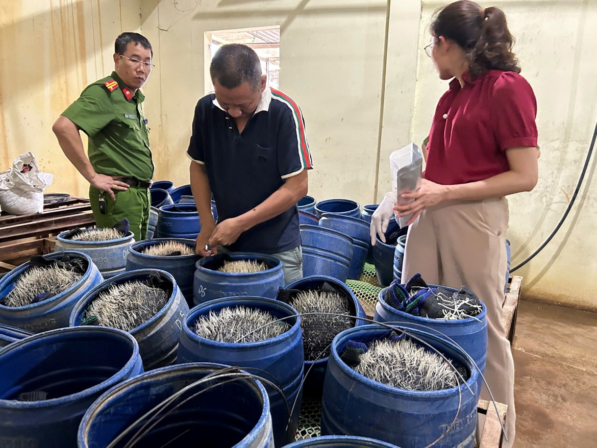 Giá đỗ được lực lượng chức năng phát hiện tại xưởng sản xuất (Ảnh: Công an Hải Phòng)