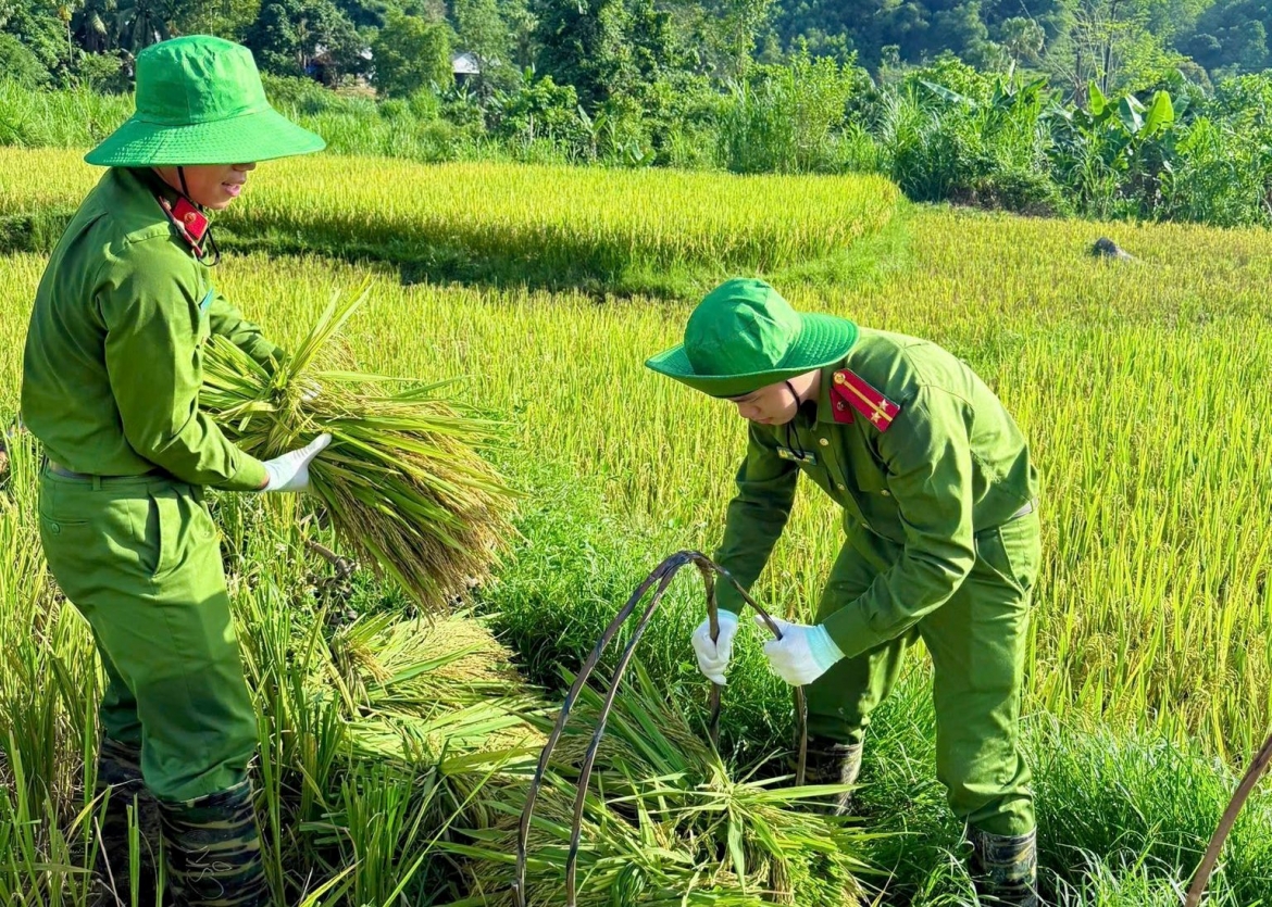 thanh_quan_1.jpg