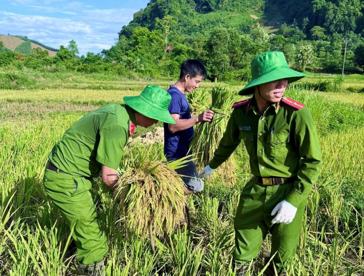 thanh_quan_3.jpg