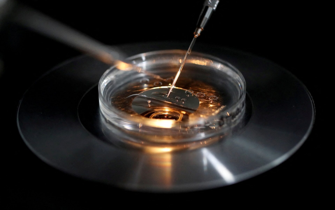 IVF.jpg