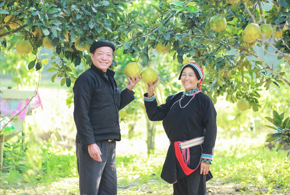 anh_tin_tuyen_quang.jpg