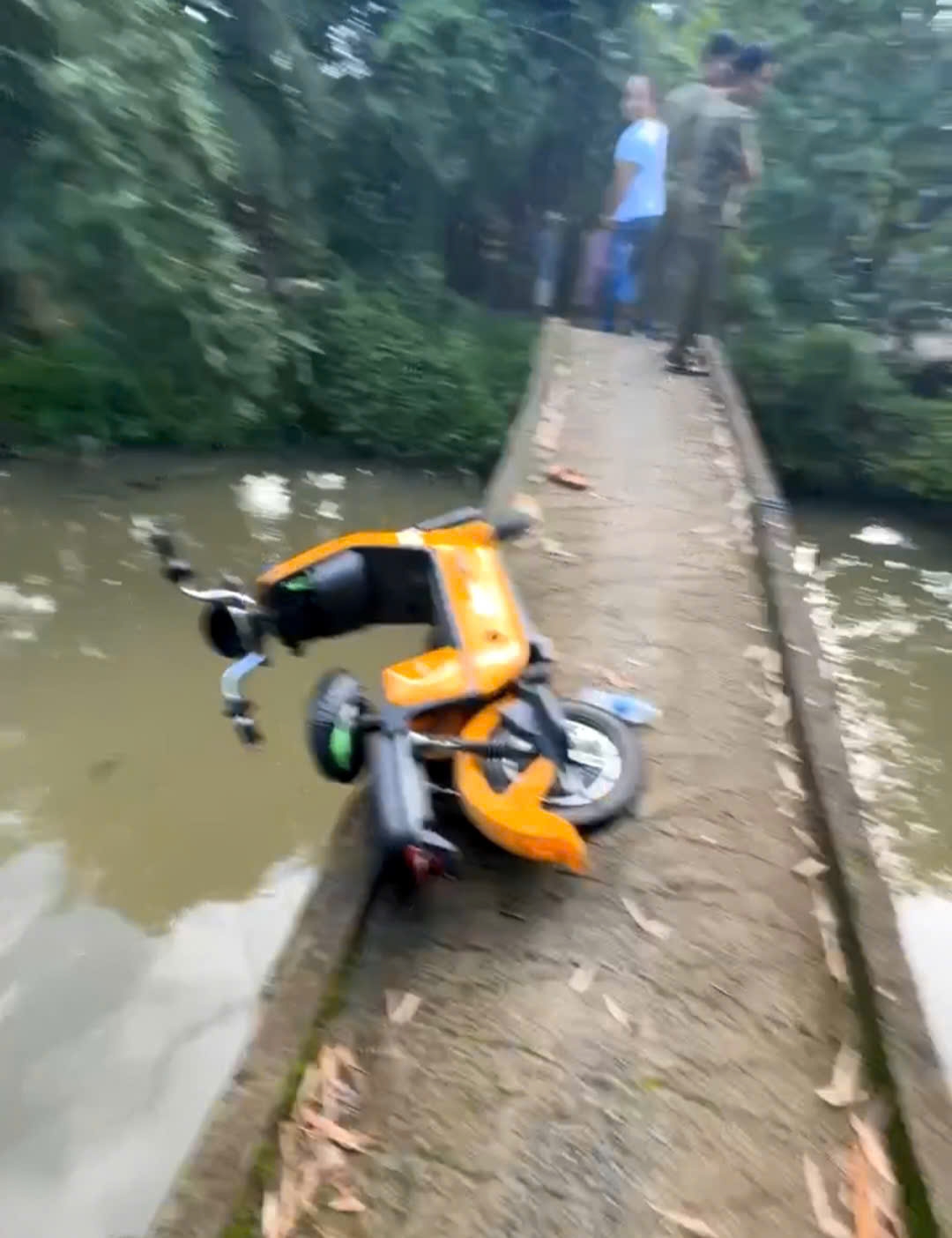 cay_cau_nho_hep_kem_an_toan_da_xay_ra_vu_tu_vong.jpg