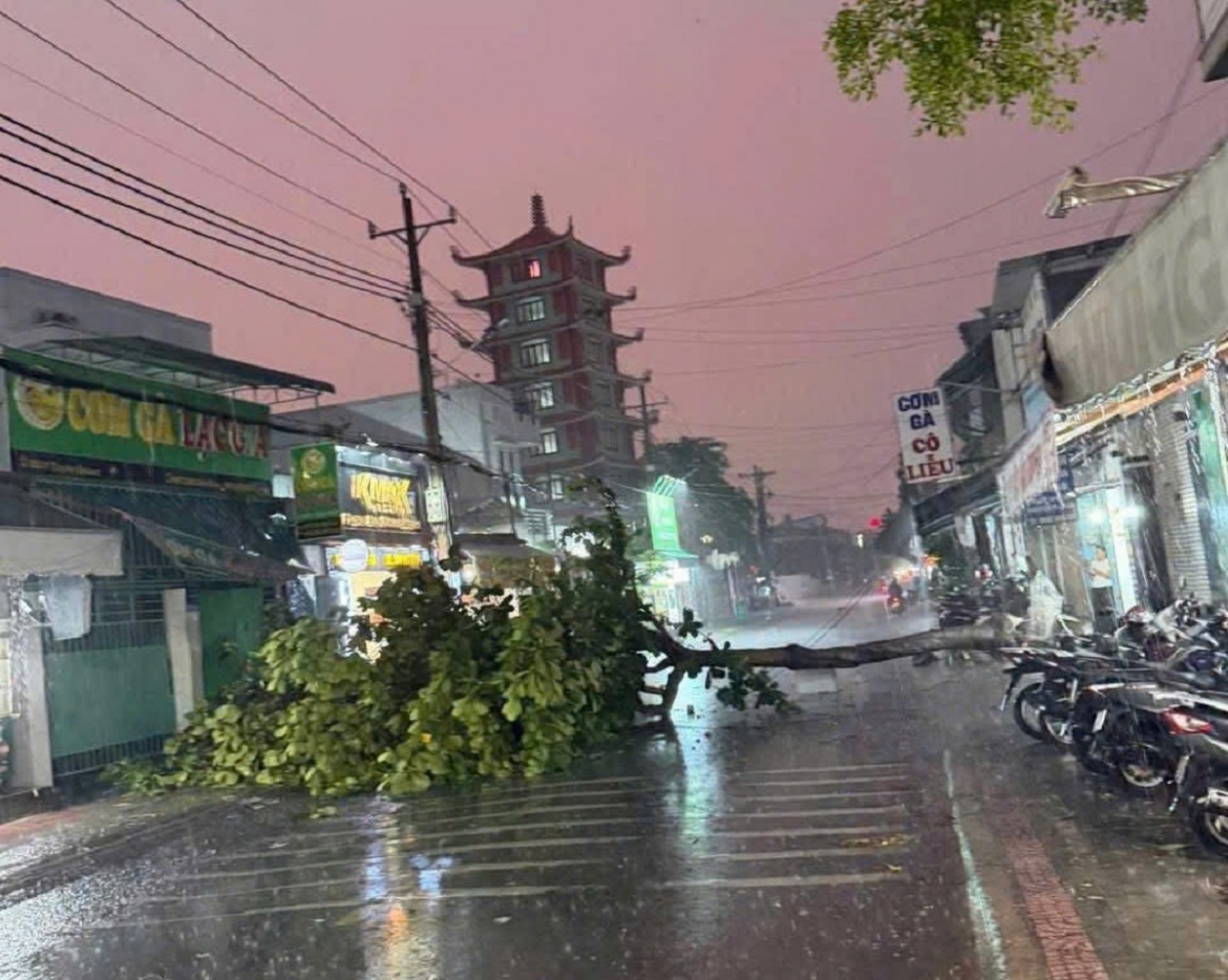 cay_do_chan_ngang_duong.jpg